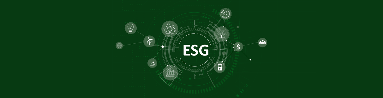 Navigating ESG Supply Chain: Custom Software Drives Sustainability
