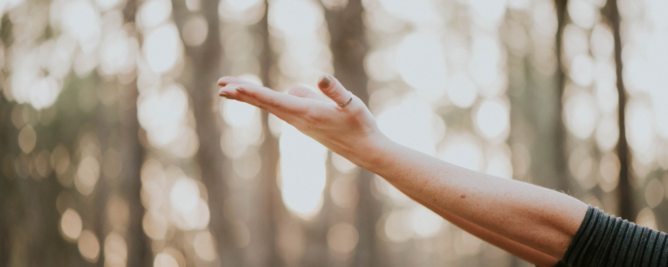 Corporate Wellness Apps: Adaptation to Seasonal Changes or an Industry Shake-Up