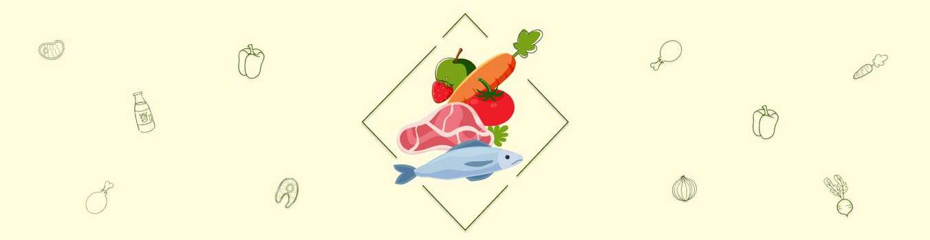 B2B Platform for Agriculture: Buy and Sell Food Marketplace Development for Farmers and Suppliers