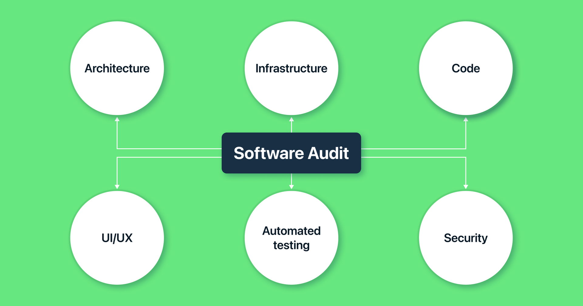 software audit