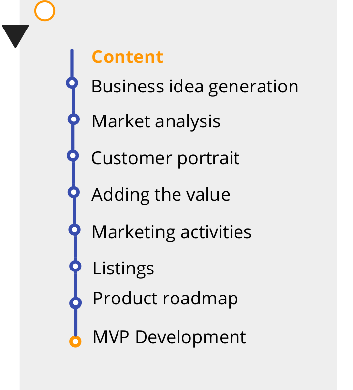 marketplace development plan